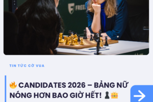 tin tức (17)