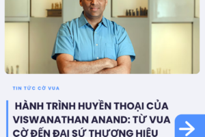 tin tức (8)