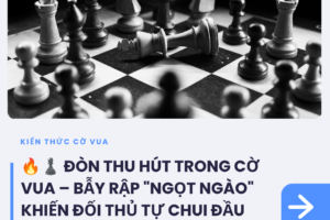 tin tức (5)